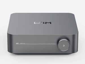WII-AMP-SG