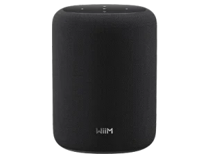 WII-SOUNDLITE-BK